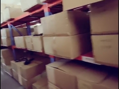 gaskets